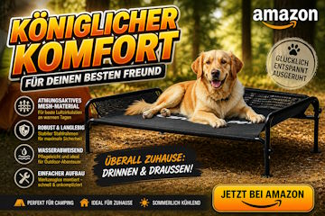 Die Top Bestseller von Amazon!