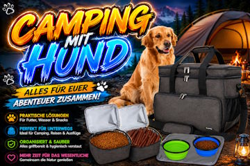 Die Top Bestseller von Amazon!